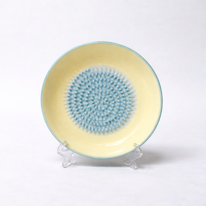 Vodlan™ Handmade Ceramic Ginger & Garlic Grater – Fine Grinder for Fruits, Spices & Fresh Flavor